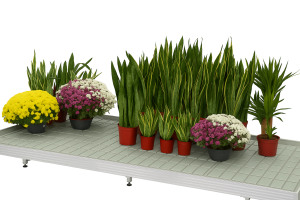 Stacjonarne stoły zalewowe "Floks " do ekspozycji wysokich roślin ozdobnych 1,5m x 3,0m o stałej wysokość 25cm